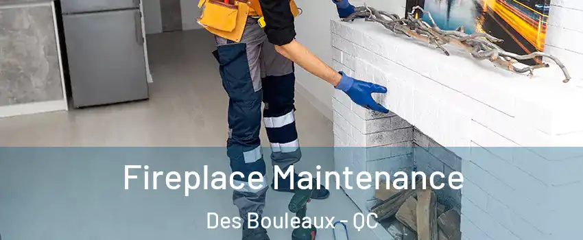  Fireplace Maintenance Des Bouleaux - QC