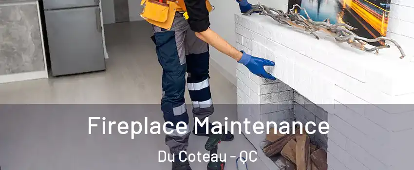  Fireplace Maintenance Du Coteau - QC