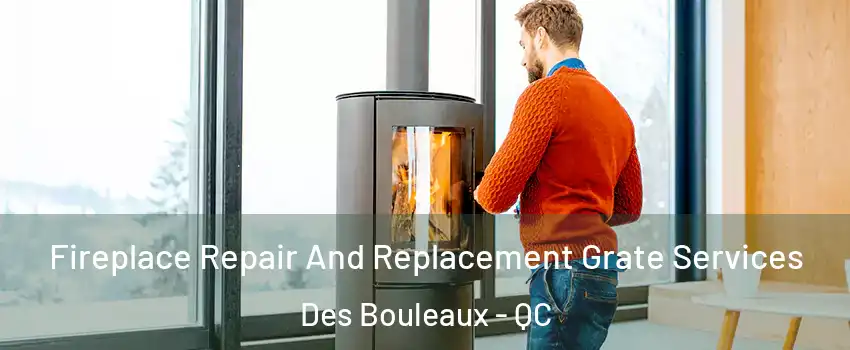  Fireplace Repair And Replacement Grate Services Des Bouleaux - QC