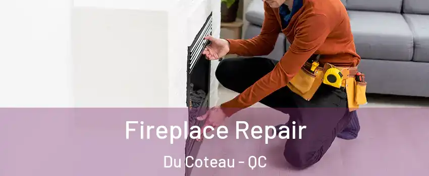  Fireplace Repair Du Coteau - QC