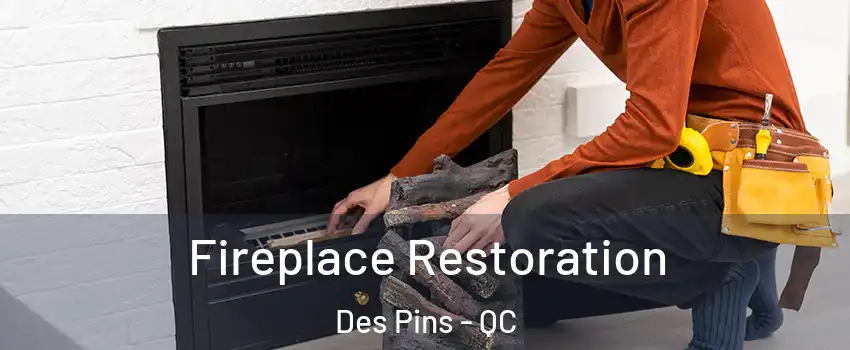  Fireplace Restoration Des Pins - QC