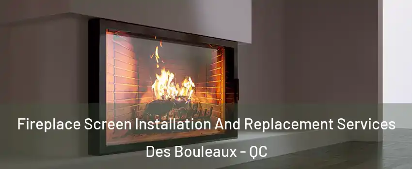 Fireplace Screen Installation And Replacement Services Des Bouleaux - QC