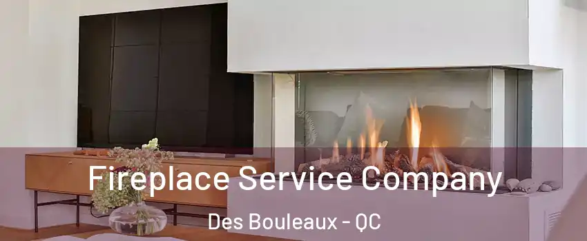 Fireplace Service Company Des Bouleaux - QC