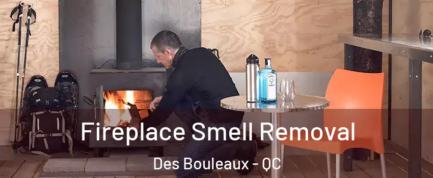  Fireplace Smell Removal Des Bouleaux - QC