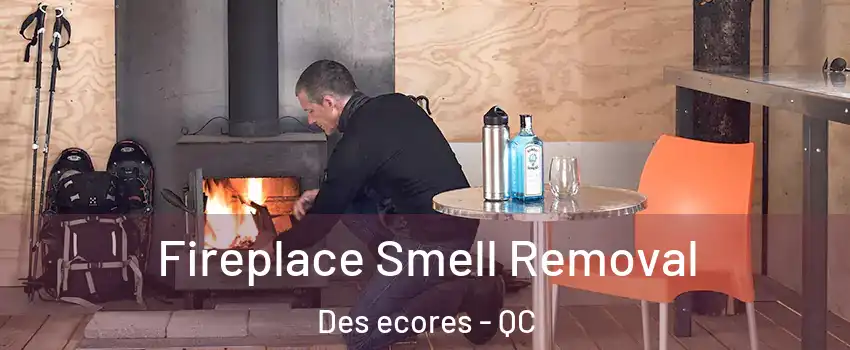  Fireplace Smell Removal Des ecores - QC