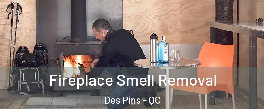  Fireplace Smell Removal Des Pins - QC