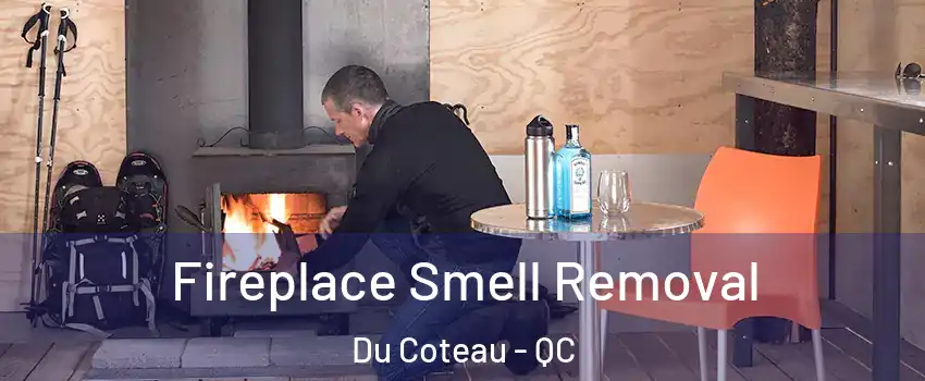  Fireplace Smell Removal Du Coteau - QC