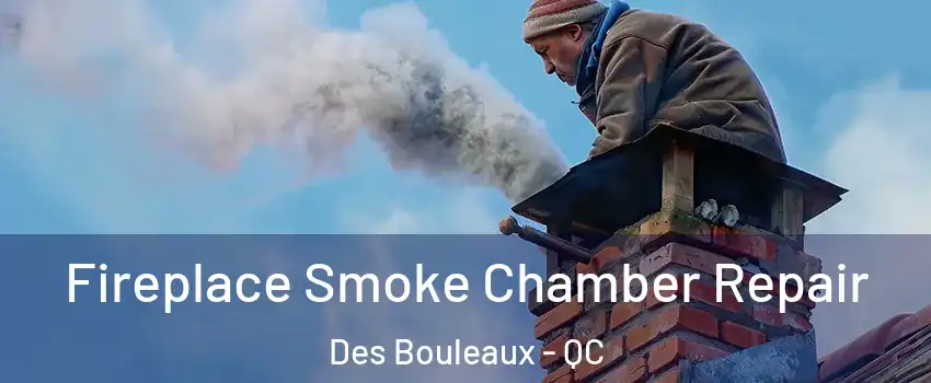  Fireplace Smoke Chamber Repair Des Bouleaux - QC