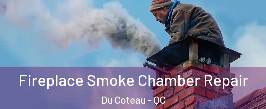  Fireplace Smoke Chamber Repair Du Coteau - QC