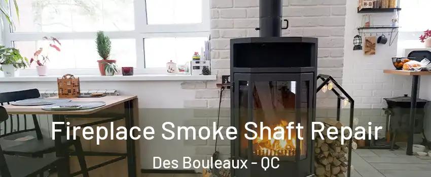  Fireplace Smoke Shaft Repair Des Bouleaux - QC