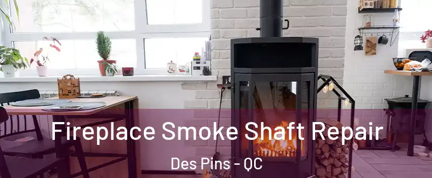  Fireplace Smoke Shaft Repair Des Pins - QC