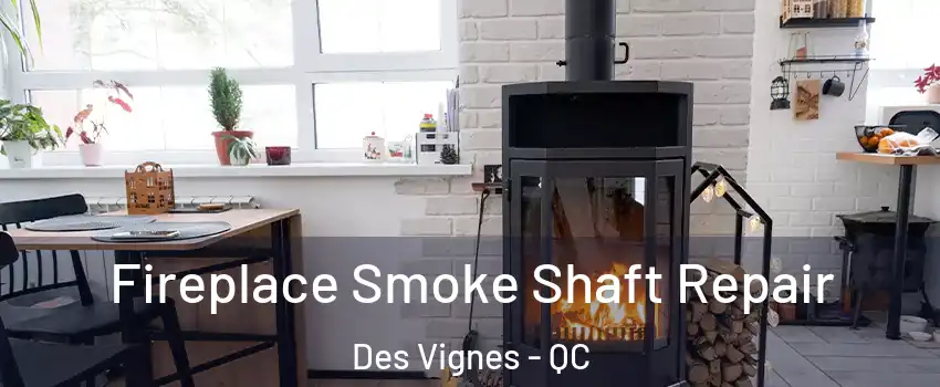  Fireplace Smoke Shaft Repair Des Vignes - QC