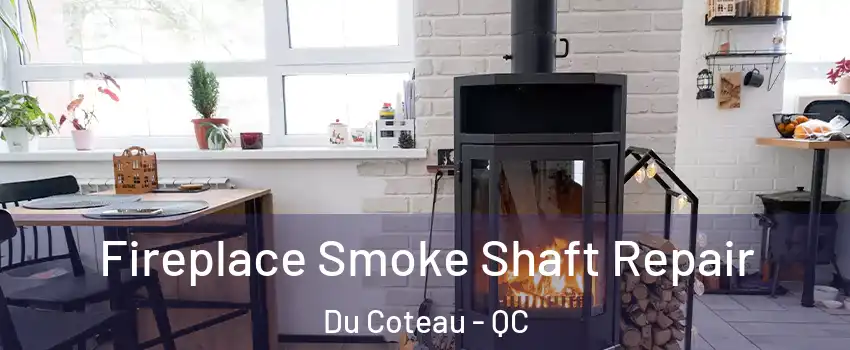  Fireplace Smoke Shaft Repair Du Coteau - QC