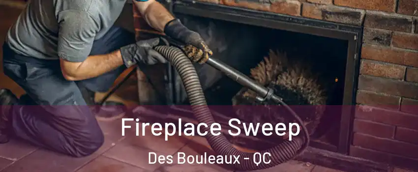  Fireplace Sweep Des Bouleaux - QC