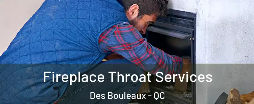  Fireplace Throat Services Des Bouleaux - QC