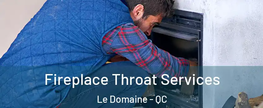  Fireplace Throat Services Le Domaine - QC