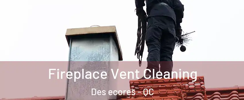  Fireplace Vent Cleaning Des ecores - QC