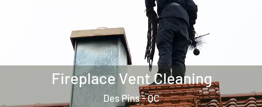  Fireplace Vent Cleaning Des Pins - QC