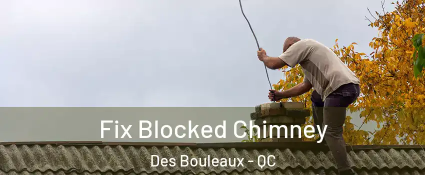  Fix Blocked Chimney Des Bouleaux - QC