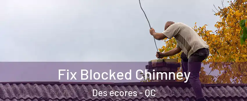  Fix Blocked Chimney Des ecores - QC