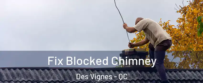  Fix Blocked Chimney Des Vignes - QC