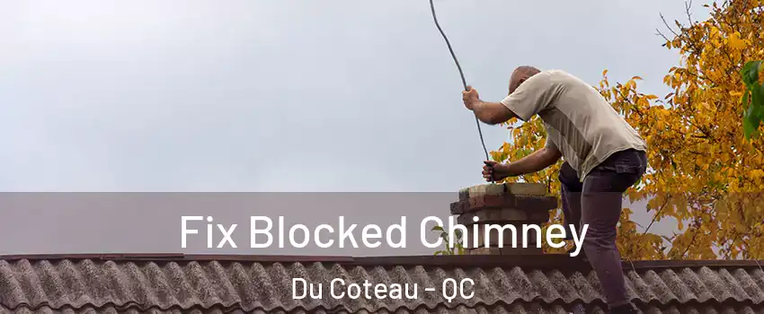  Fix Blocked Chimney Du Coteau - QC