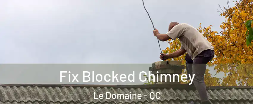  Fix Blocked Chimney Le Domaine - QC