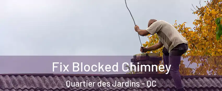  Fix Blocked Chimney Quartier des Jardins - QC