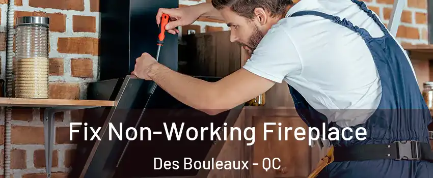  Fix Non-Working Fireplace Des Bouleaux - QC