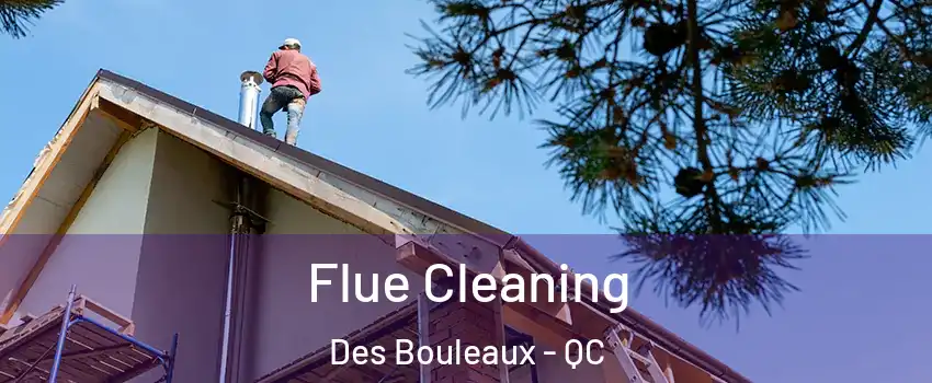  Flue Cleaning Des Bouleaux - QC