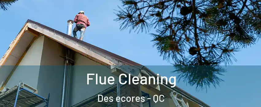  Flue Cleaning Des ecores - QC
