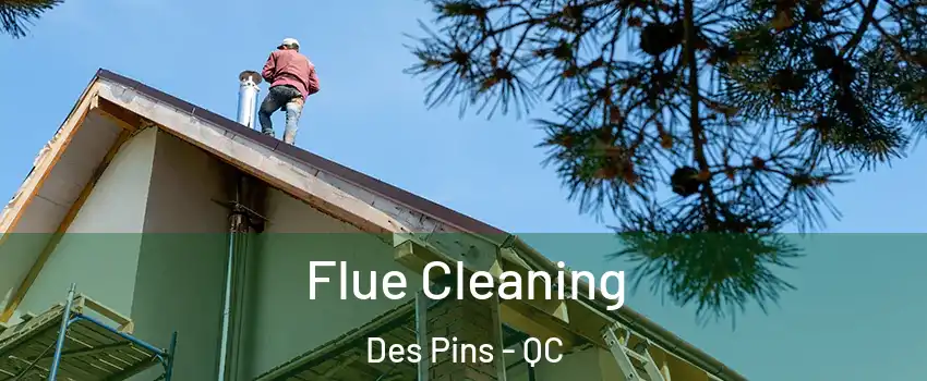  Flue Cleaning Des Pins - QC