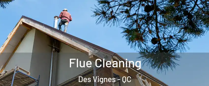  Flue Cleaning Des Vignes - QC