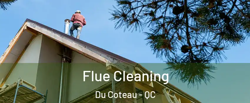  Flue Cleaning Du Coteau - QC