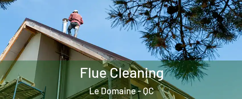  Flue Cleaning Le Domaine - QC