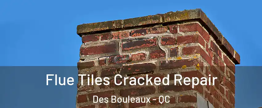  Flue Tiles Cracked Repair Des Bouleaux - QC