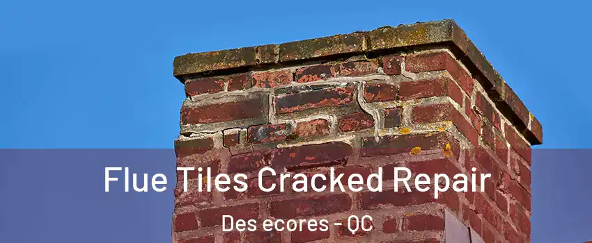  Flue Tiles Cracked Repair Des ecores - QC