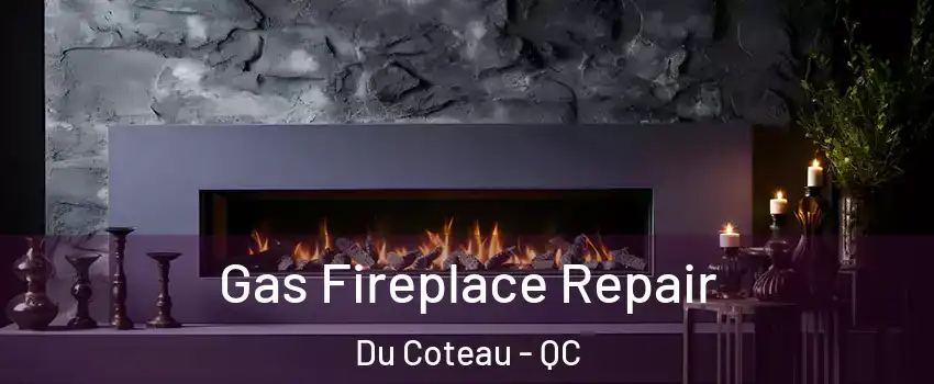  Gas Fireplace Repair Du Coteau - QC