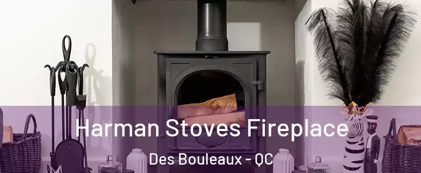  Harman Stoves Fireplace Des Bouleaux - QC
