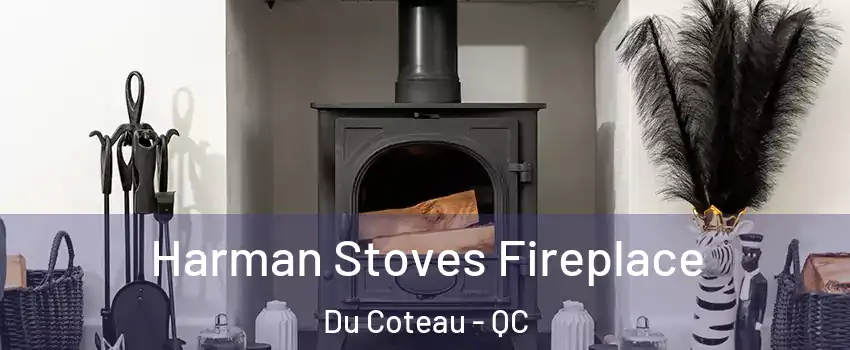  Harman Stoves Fireplace Du Coteau - QC