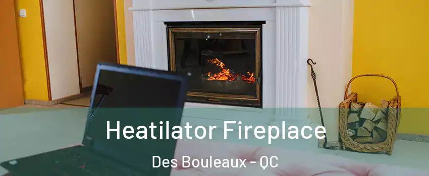  Heatilator Fireplace Des Bouleaux - QC