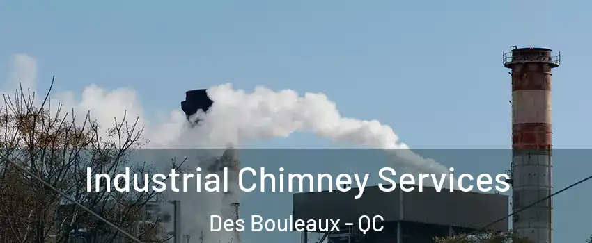  Industrial Chimney Services Des Bouleaux - QC