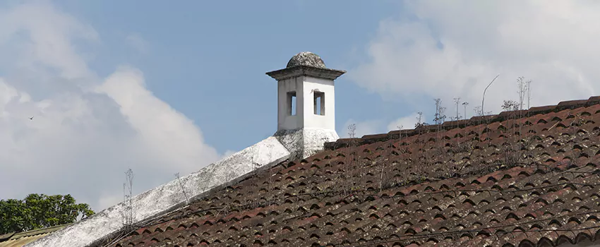 Wind-Resistant Chimney Caps Installation and Repair Services in Saint Constant, Quebec