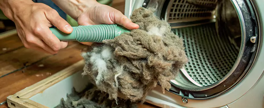 Best Dryer Lint Removal Company in Saint Constant, Quebec