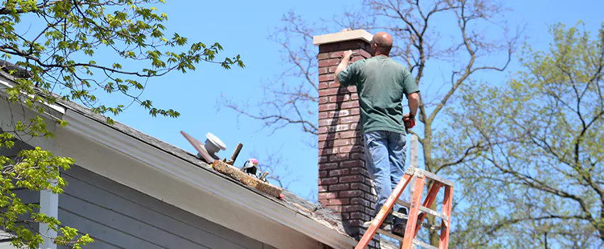 Chimney And Flue Brush Cleaning in Des Vignes, Quebec