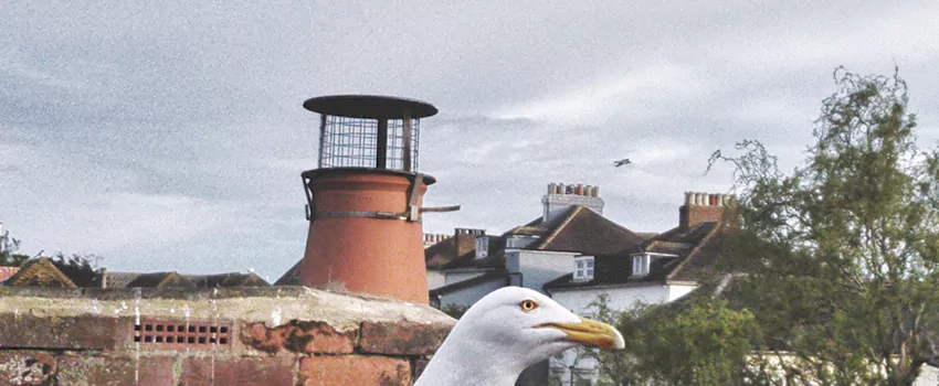 Chimney Cap Bird Guard Repair in Saint Constant, Quebec