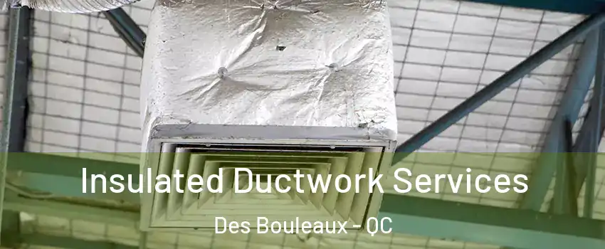  Insulated Ductwork Services Des Bouleaux - QC