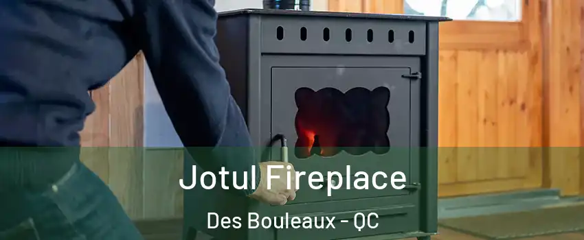 Jotul Fireplace Des Bouleaux - QC