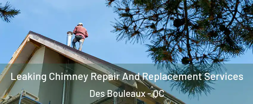  Leaking Chimney Repair And Replacement Services Des Bouleaux - QC