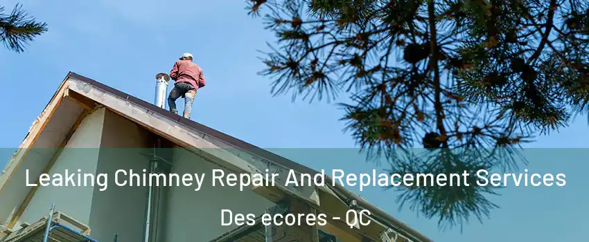  Leaking Chimney Repair And Replacement Services Des ecores - QC